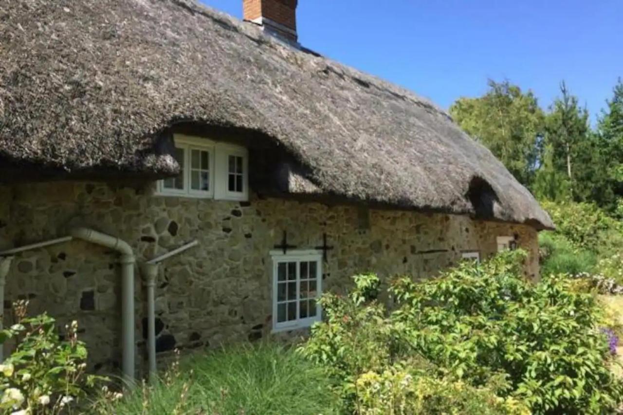 Afton Thatch: Beautiful Thatched Family Cottage Freshwater Extérieur photo