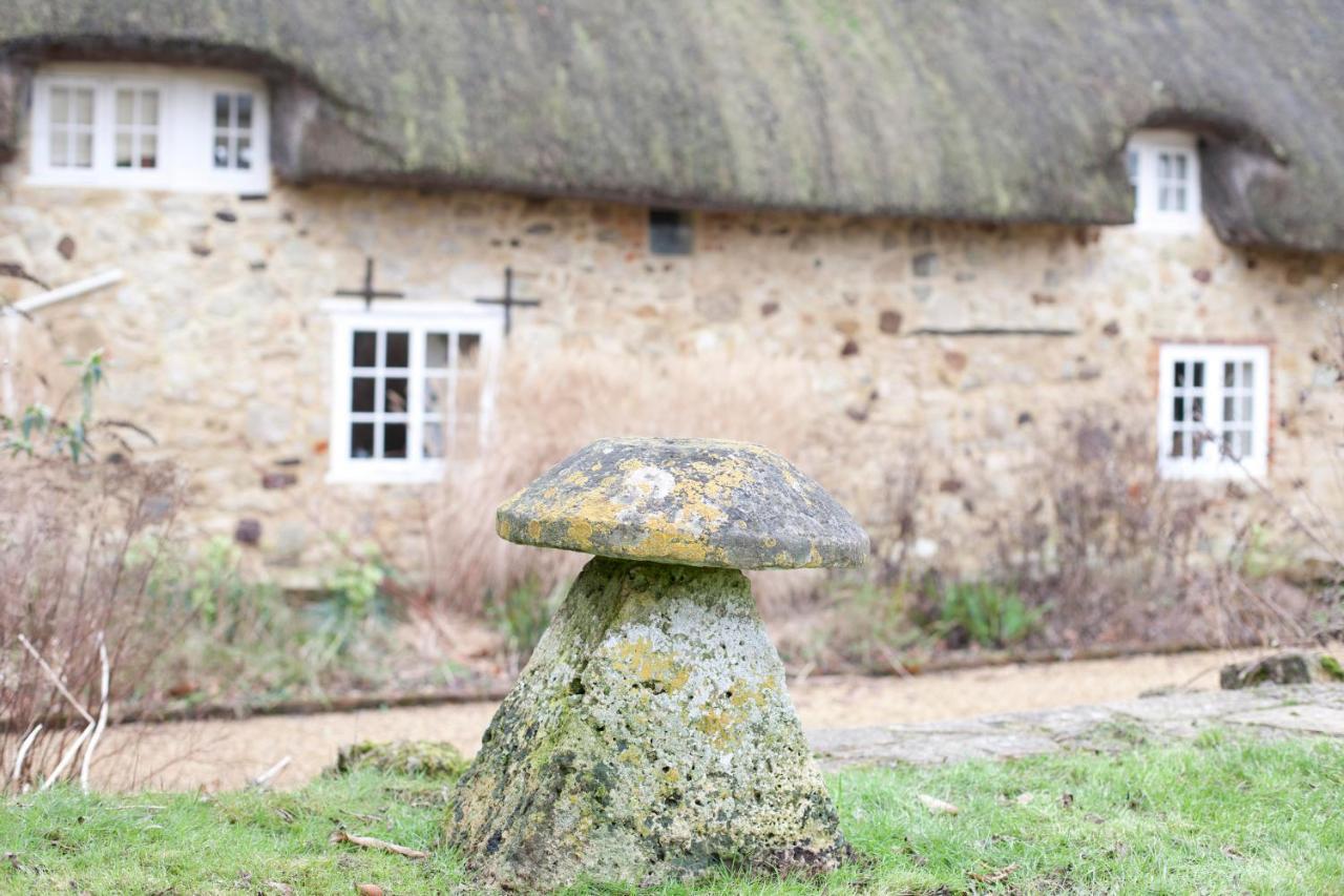 Afton Thatch: Beautiful Thatched Family Cottage Freshwater Extérieur photo